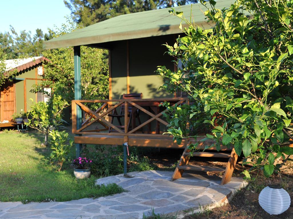 Hobbit Evi Hotell Çıralı Rum bild
